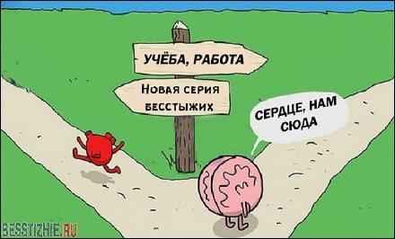  (800x482, 91 kБ...)